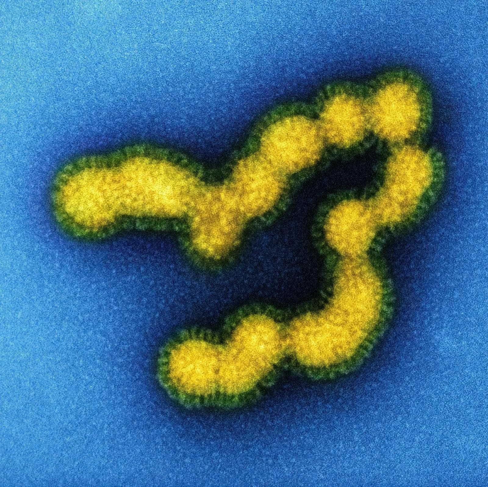 a yellow and green object on a blue surface