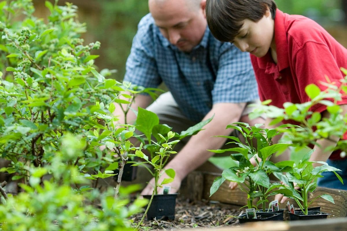 A child holding a green flowering plant