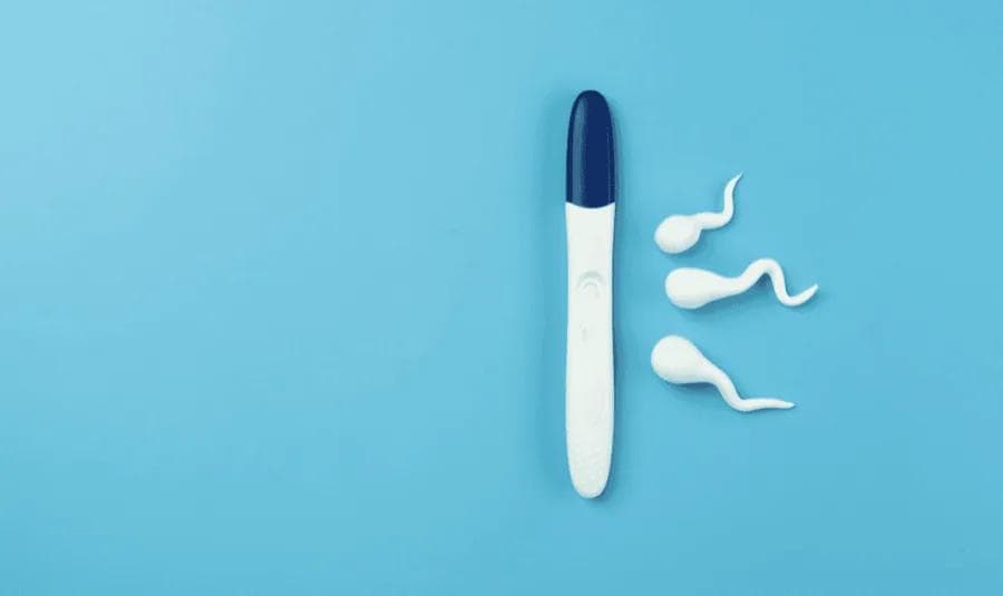 Male Fertility Blood Test
