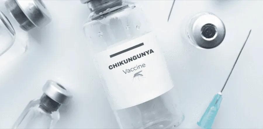 Chikungunya Vaccination